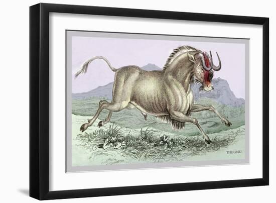 The Gnu-John Stewart-Framed Art Print