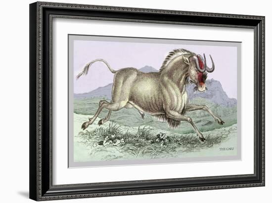 The Gnu-John Stewart-Framed Art Print