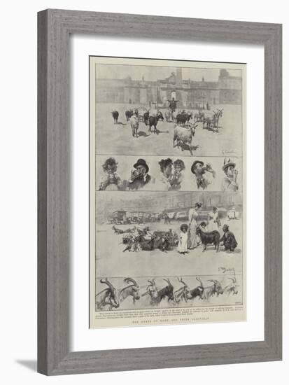 The Goats of Rome and their Clientele-null-Framed Giclee Print