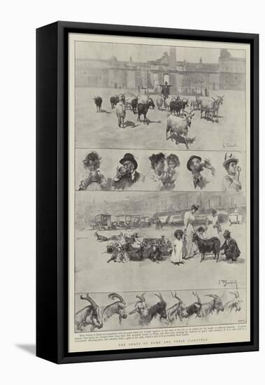 The Goats of Rome and their Clientele-null-Framed Premier Image Canvas