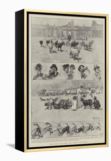The Goats of Rome and their Clientele-null-Framed Premier Image Canvas