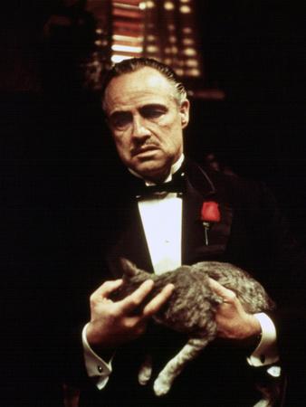 'The Godfather, Marlon Brando, 1972' Photo - | Art.com