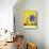 The Gold of the Azure, 1967-Joan Miro-Mounted Art Print displayed on a wall