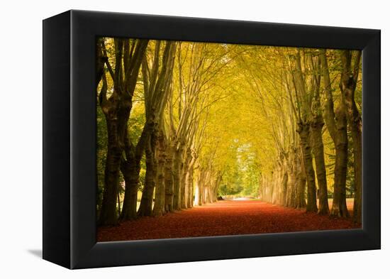 The Golden Arch-Philippe Sainte-Laudy-Framed Premier Image Canvas