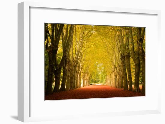 The Golden Arch-Philippe Sainte-Laudy-Framed Photographic Print