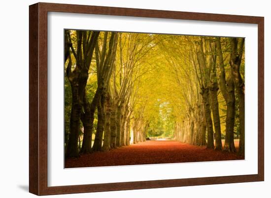 The Golden Arch-Philippe Sainte-Laudy-Framed Photographic Print