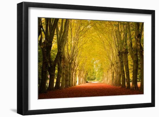 The Golden Arch-Philippe Sainte-Laudy-Framed Photographic Print