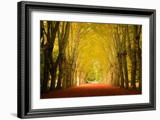 The Golden Arch-Philippe Sainte-Laudy-Framed Photographic Print