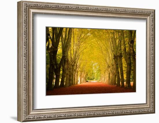 The Golden Arch-Philippe Sainte-Laudy-Framed Photographic Print