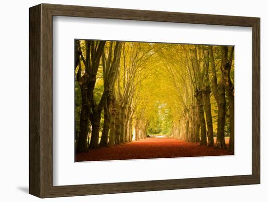 The Golden Arch-Philippe Sainte-Laudy-Framed Photographic Print