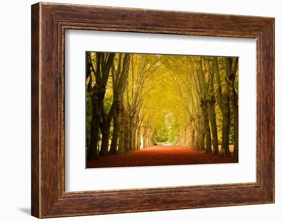 The Golden Arch-Philippe Sainte-Laudy-Framed Photographic Print