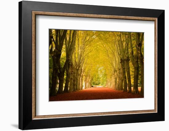 The Golden Arch-Philippe Sainte-Laudy-Framed Photographic Print