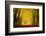 The Golden Arch-Philippe Sainte-Laudy-Framed Photographic Print