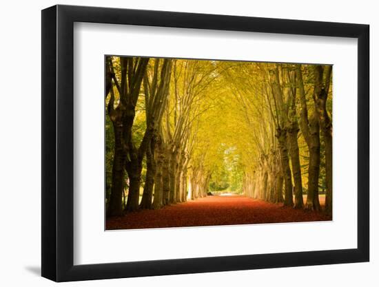 The Golden Arch-Philippe Sainte-Laudy-Framed Photographic Print