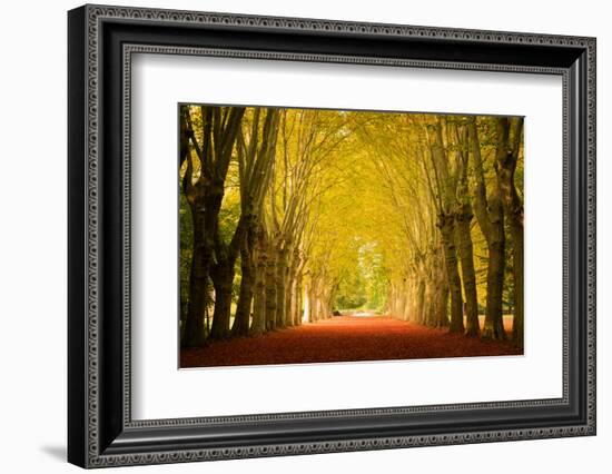 The Golden Arch-Philippe Sainte-Laudy-Framed Photographic Print