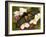 The Golden Birdwing, Khon Kaen, Thailand-Gavriel Jecan-Framed Photographic Print