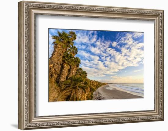 The Golden California Coastline at Swami's Beach in Encinitas, Ca-Andrew Shoemaker-Framed Photographic Print