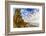 The Golden California Coastline at Swami's Beach in Encinitas, Ca-Andrew Shoemaker-Framed Photographic Print