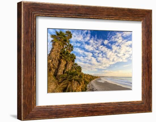 The Golden California Coastline at Swami's Beach in Encinitas, Ca-Andrew Shoemaker-Framed Photographic Print