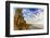 The Golden California Coastline at Swami's Beach in Encinitas, Ca-Andrew Shoemaker-Framed Photographic Print