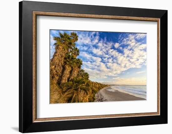 The Golden California Coastline at Swami's Beach in Encinitas, Ca-Andrew Shoemaker-Framed Photographic Print