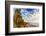 The Golden California Coastline at Swami's Beach in Encinitas, Ca-Andrew Shoemaker-Framed Photographic Print