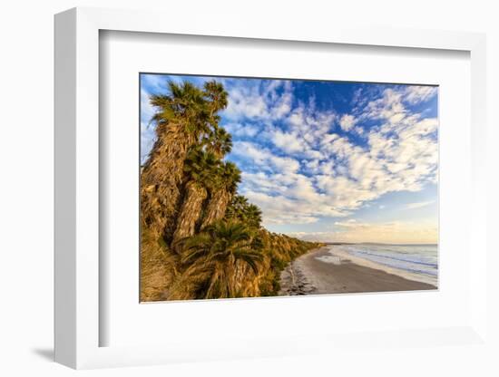 The Golden California Coastline at Swami's Beach in Encinitas, Ca-Andrew Shoemaker-Framed Photographic Print