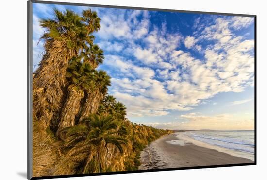 The Golden California Coastline at Swami's Beach in Encinitas, Ca-Andrew Shoemaker-Mounted Photographic Print