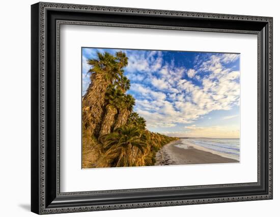 The Golden California Coastline at Swami's Beach in Encinitas, Ca-Andrew Shoemaker-Framed Photographic Print