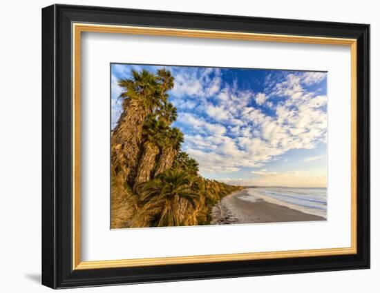 The Golden California Coastline at Swami's Beach in Encinitas, Ca-Andrew Shoemaker-Framed Photographic Print