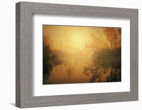 The Golden Circle-Philippe Sainte-Laudy-Framed Photographic Print