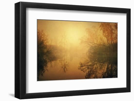 The Golden Circle-Philippe Sainte-Laudy-Framed Photographic Print