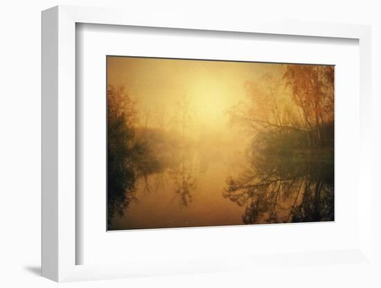 The Golden Circle-Philippe Sainte-Laudy-Framed Photographic Print