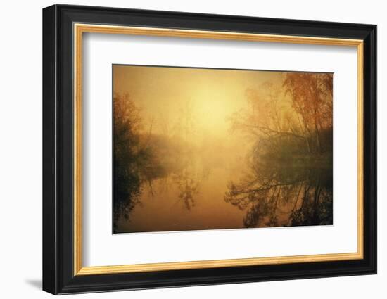 The Golden Circle-Philippe Sainte-Laudy-Framed Photographic Print