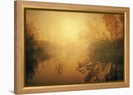 The Golden Circle-Philippe Sainte-Laudy-Framed Premier Image Canvas