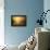 The Golden Circle-Philippe Sainte-Laudy-Framed Premier Image Canvas displayed on a wall