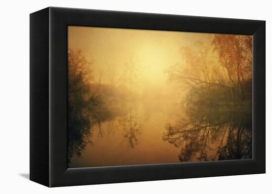 The Golden Circle-Philippe Sainte-Laudy-Framed Premier Image Canvas