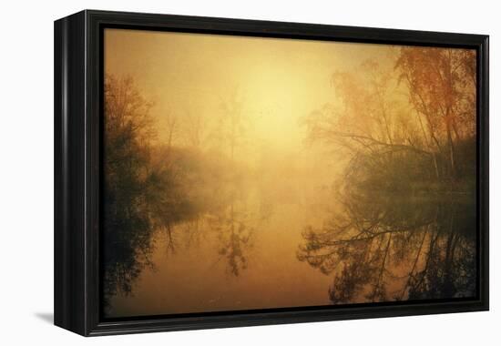 The Golden Circle-Philippe Sainte-Laudy-Framed Premier Image Canvas