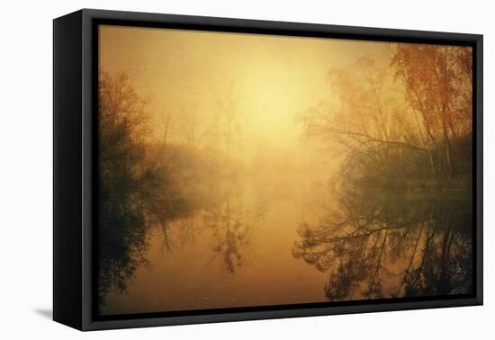 The Golden Circle-Philippe Sainte-Laudy-Framed Premier Image Canvas