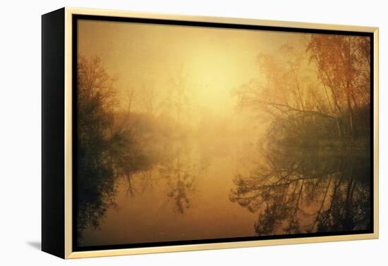 The Golden Circle-Philippe Sainte-Laudy-Framed Premier Image Canvas