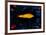 The Golden Fish, c.1925-Paul Klee-Framed Art Print