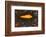 The Golden Fish, c.1925-Paul Klee-Framed Art Print