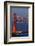 The Golden Gate Bridge and San Francisco Skyline at Night-Miles-Framed Photographic Print