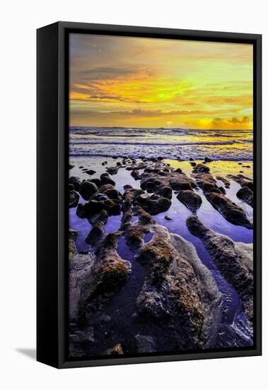 The golden setting sun reflects a gold glow on the beach at Pererenan Beach, Bali, Indonesia-Greg Johnston-Framed Premier Image Canvas