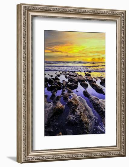 The golden setting sun reflects a gold glow on the beach at Pererenan Beach, Bali, Indonesia-Greg Johnston-Framed Photographic Print