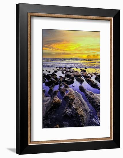 The golden setting sun reflects a gold glow on the beach at Pererenan Beach, Bali, Indonesia-Greg Johnston-Framed Photographic Print