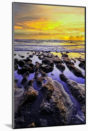 The golden setting sun reflects a gold glow on the beach at Pererenan Beach, Bali, Indonesia-Greg Johnston-Mounted Photographic Print