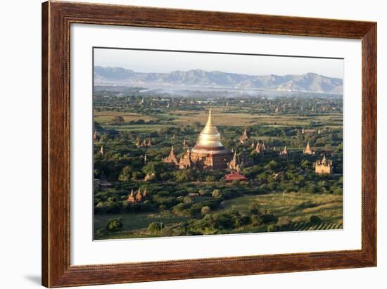 The Golden Stupa of Dhammayazika Pagoda Amongst Some Other Terracotta Buddhist Temples in Bagan-Annie Owen-Framed Photographic Print