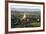 The Golden Stupa of Dhammayazika Pagoda Amongst Some Other Terracotta Buddhist Temples in Bagan-Annie Owen-Framed Photographic Print