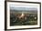 The Golden Stupa of Dhammayazika Pagoda Amongst Some Other Terracotta Buddhist Temples in Bagan-Annie Owen-Framed Photographic Print